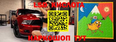 крисы Аргун