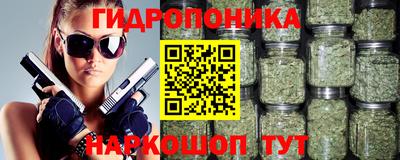 крисы Аргун