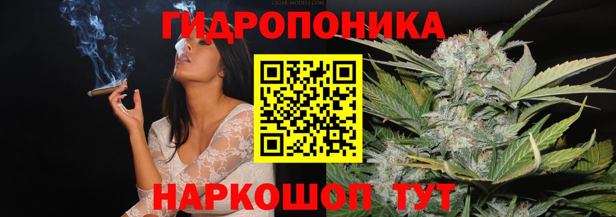 МАРИХУАНА планчик Волжск